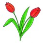 07_tulipani_crljeni.jpg