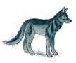 06-wolf.jpg