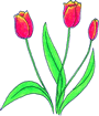 02_tulipan.gif