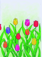 07_tulipani.gif